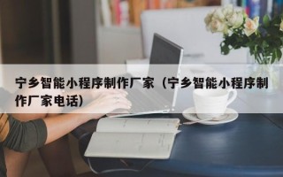 安溪宁乡智能小程序制作厂家（宁乡智能小程序制作厂家电话）